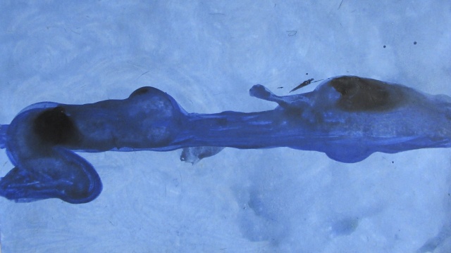 Cover image of the project ALTER EGO