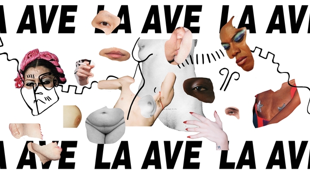 Immagine di copertina del progetto LA AVE