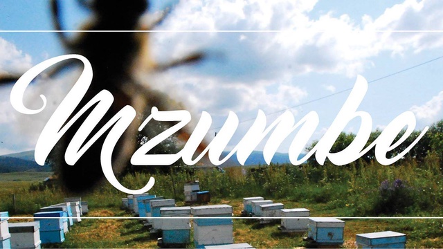 Cover image of the project Mzumbe