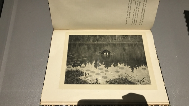 Cover image of the project Transformer ma thèse en livre