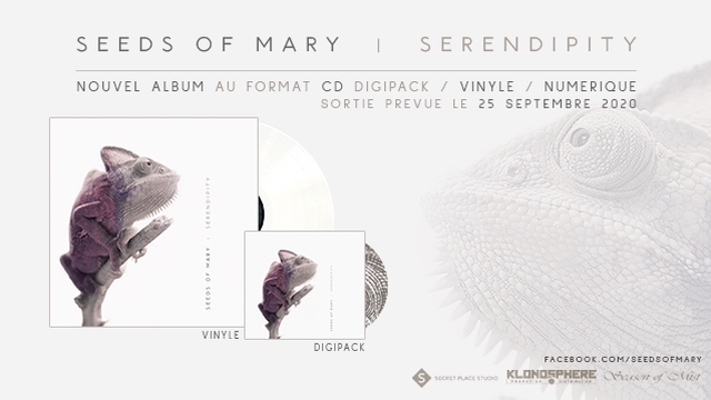 Cover image of the project SEEDS OF MARY   |   SERENDIPITY