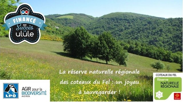 Cover image of the project Aidez-nous à sauver une réserve de biodiversité !