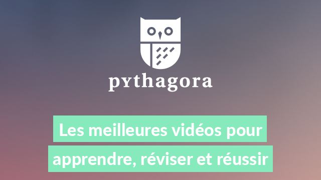 Video presentation of the project