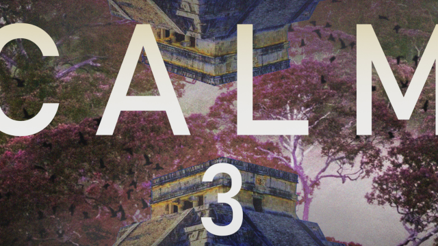 Cover image of the project Financement de l'album Calm 3