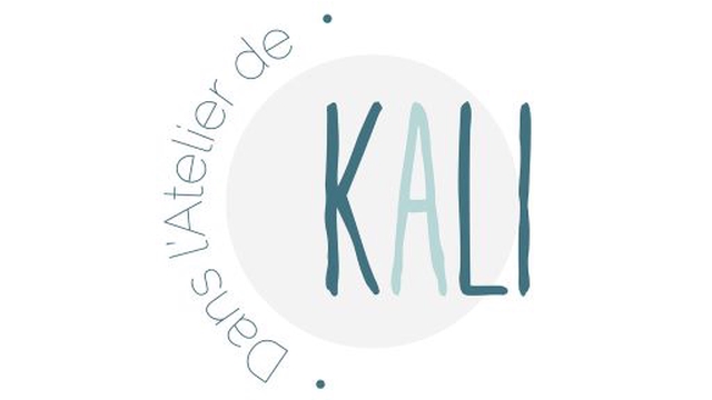 Video presentation of the project