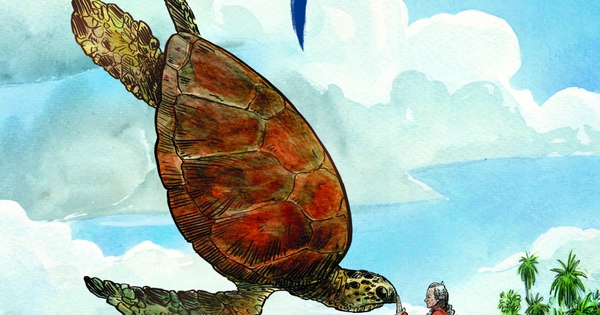 Une vie épicée - Sur les traces de Pierre Poivre