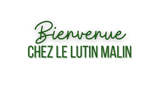 Image de couverture de la collecte Le Lutin Malin