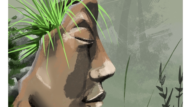 Cover image of the project Les illustrations de Petit Caillou