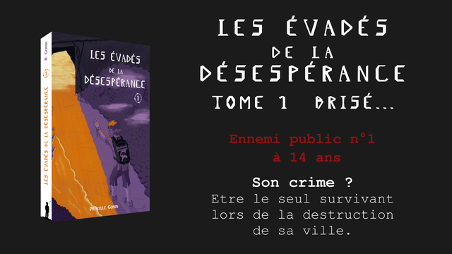 Vidéo de présentation de la collecte