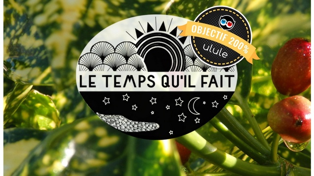 Cover image of the project Le temps qu'il fait