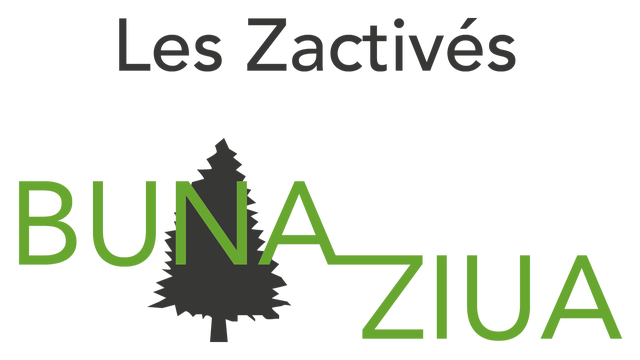 Video presentation of the project