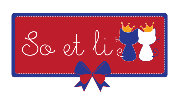 Cover image of the project So et Li