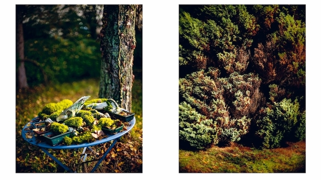 Cover image of the project Parcelle 475/593, un livre photos-textes de STÉPHANE SPACH