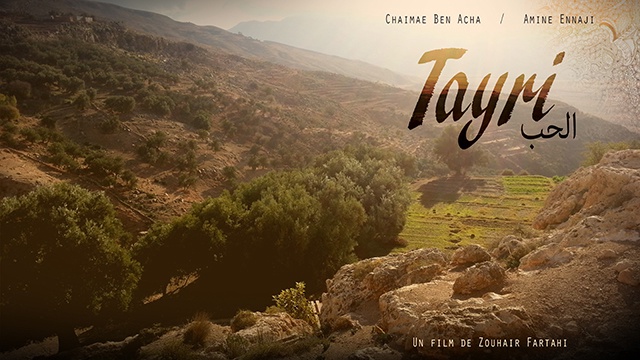 Cover image of the project Tayri