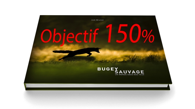 Video presentation of the project