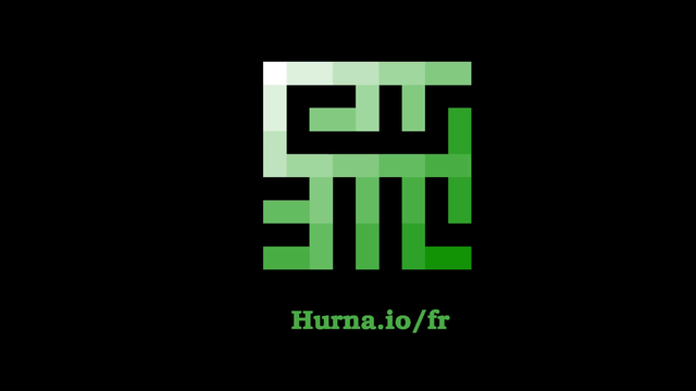 Video presentation of the project
