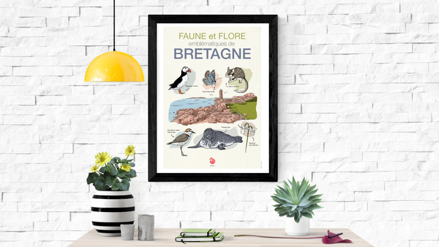 Cover image of the project Affiche ta Biodiv!