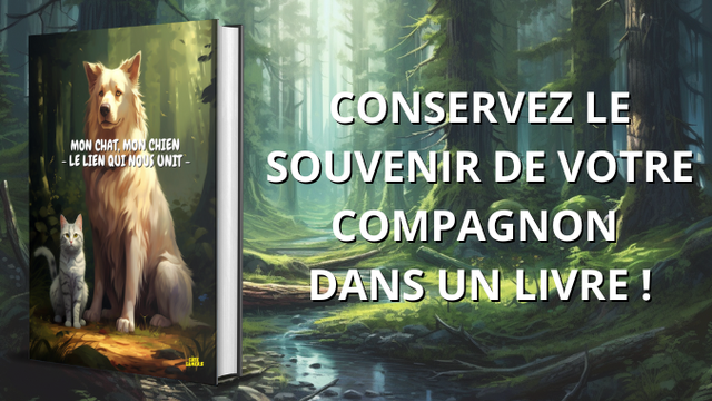 Cover image of the project Mon chien, mon chat - Le lien qui nous unit
