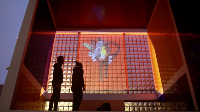 Video presentation of the project