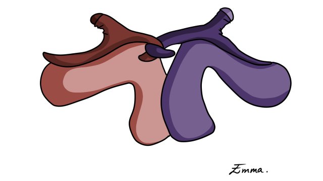 Cover image of the project Les ClitoSacs d'Emma