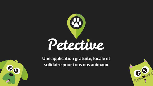 Video presentation of the project