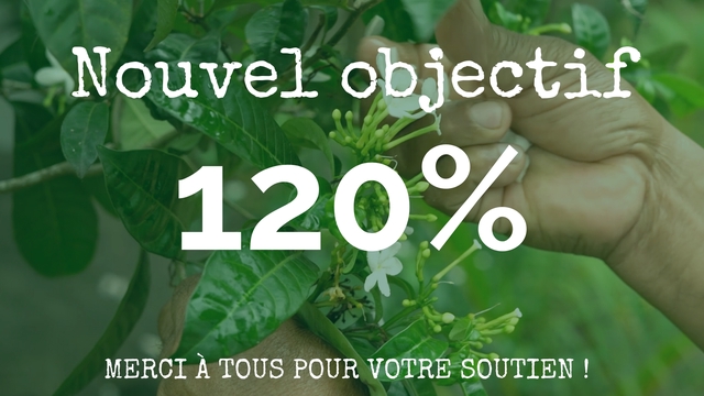 Vidéo de présentation de la collecte