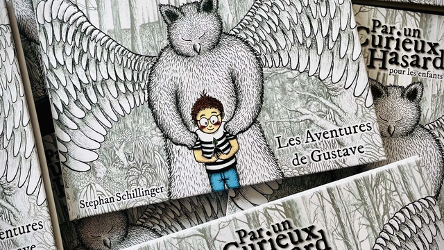 Cover image of the project "Par un Curieux Hasard" pour les enfants !