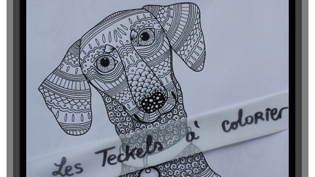 Cover image of the project Les Teckels à colorier (chiens à colorier)