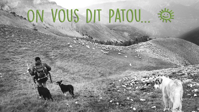 Vidéo de présentation de la collecte