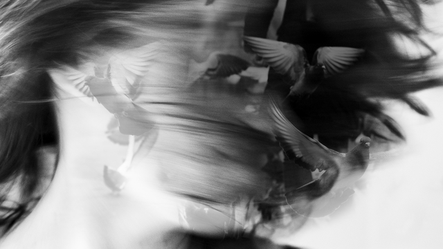 Image de couverture de la collecte Walls & Sounds - Des Murs et des Sons - Le Livre Photo