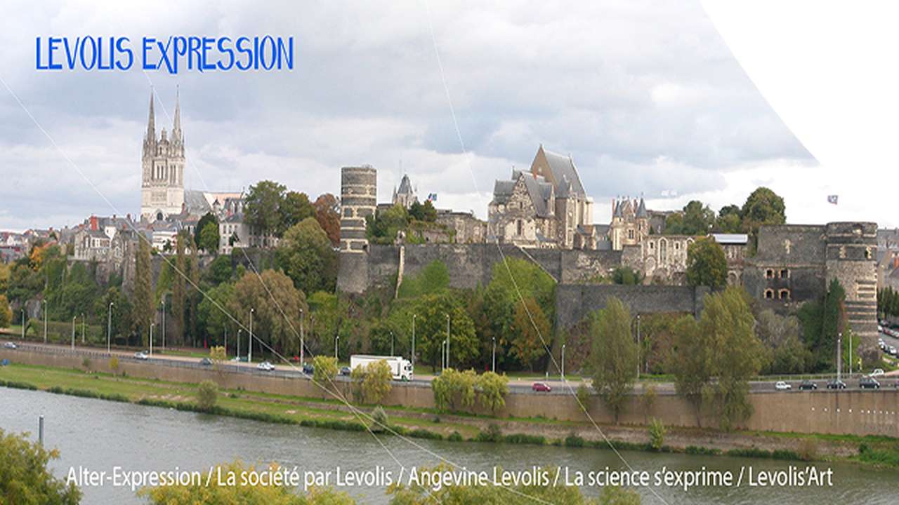 Levolis Expression - Ulule