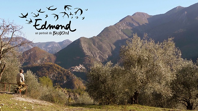 Immagine di copertina del progetto Baudoin, Elogio dell'Impotenza