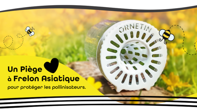 Cover image of the project Ornetin : Le Piège à Frelons Asiatiques Pour Tous