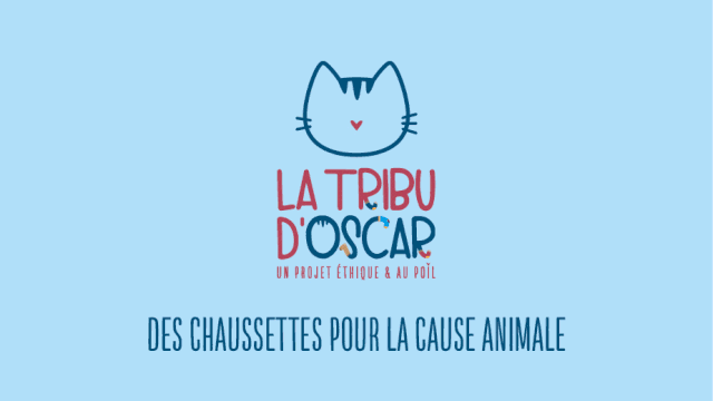 Vidéo de présentation de la collecte