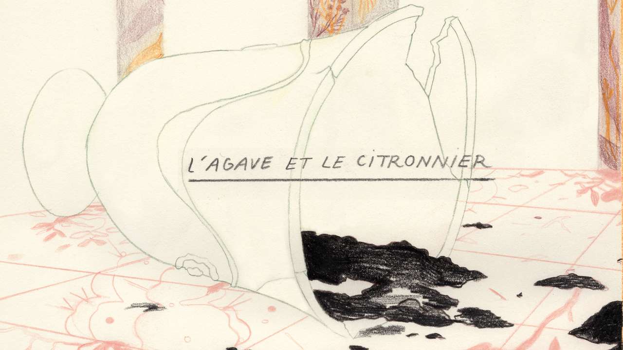 L'Agave et le Citronnier - Ulule