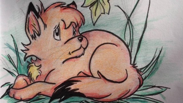 Cover image of the project Le chat qui voulait devenir un lion