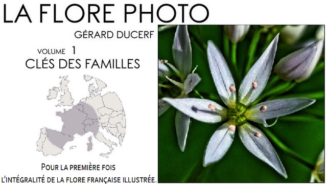 Vidéo de présentation de la collecte