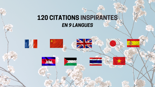 Cover image of the project 120 Citations Inspirantes en 9 Langues