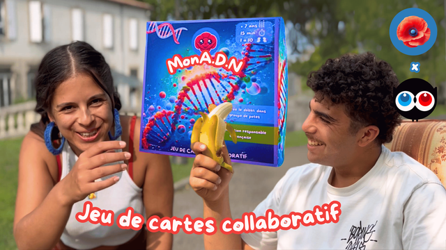Video presentation of the project