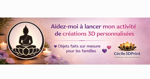 Lancement de mon activité de créations 3D - Ulule