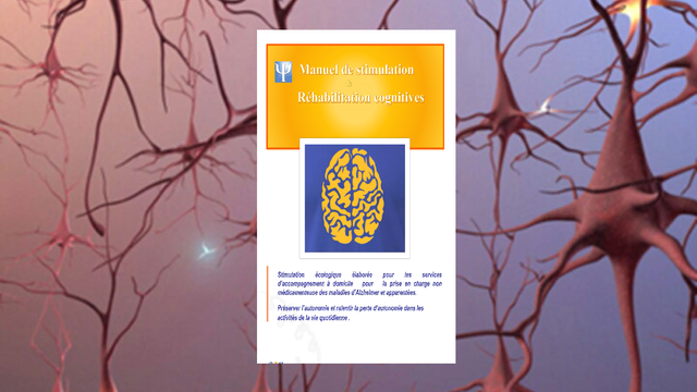 Cover image of the project Manuel de stimulation et réhabilitation cognitives