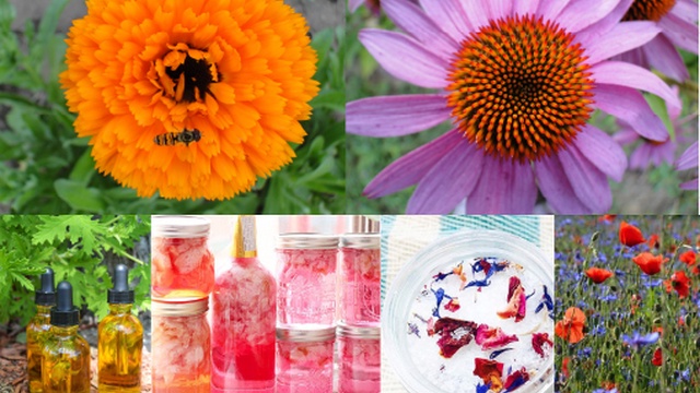 culture de plantes & cosmétiques naturels bio
