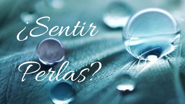 Imagen de portada del proyecto Bitácora de Perlas (Poesía)