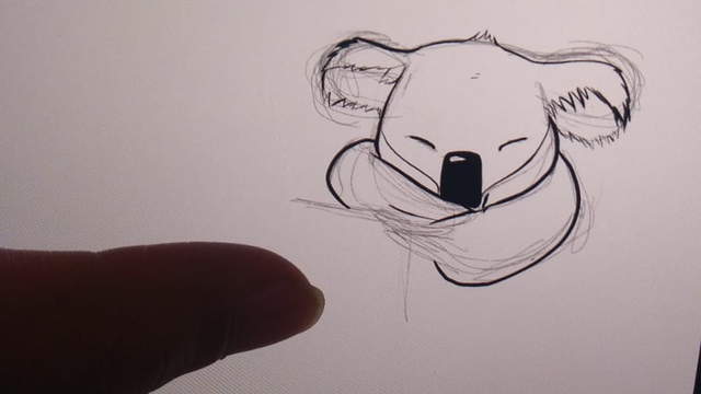 Cover image of the project I racconti di Koa il koala affamato