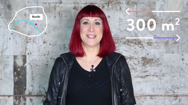 Video presentation of the project