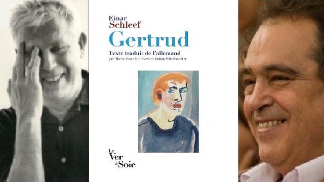 Image de couverture de la collecte Einar Schleef rencontre Henry Fourès